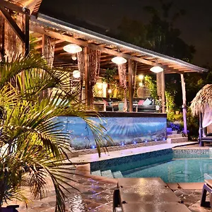 Racoon Guest house